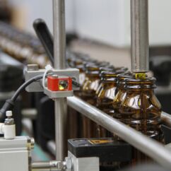 Bio-Öl wird in Flaschen gefüllt