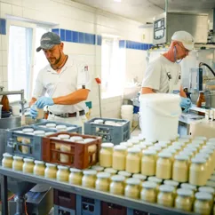 Zwei Mitarbeiter von Hof Mahlitzsch füllen Quark und Biomilch ab