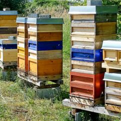 Bienenstöcke der Imkerei Heinrichsgarten