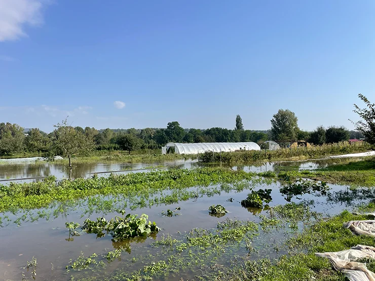 Überschwemmte Gemüsefelder und Folientunnel in Camphill