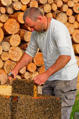 Bioland Imker Ronny Kern arbeitet an einem Bienenkasten